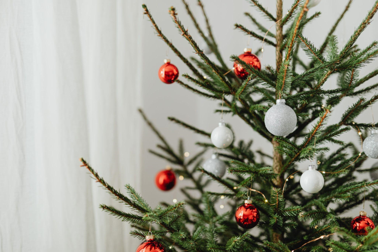 Make Your Christmas Tree Safe for Your Pet: Choosing a Pet-Friendly Tree Skirt and Pre-Lit Tree